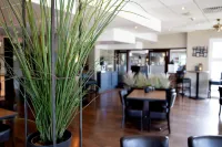 City Hotel Terneuzen - 3 étoiles