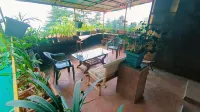 Mcleodganj Bed and Breakfast - Condos