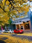 Gamma Hotel Hotels in 