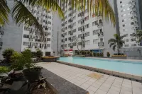 The Jarrdin by Bethania Pro