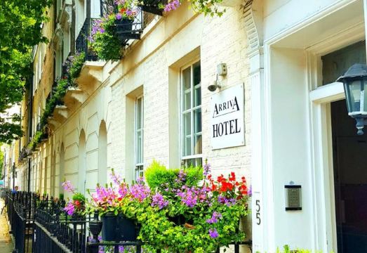 아리바 호텔 객실 내부