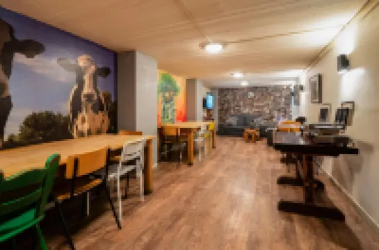 The Flying Pig Downtown