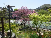 오야도 마츠바야