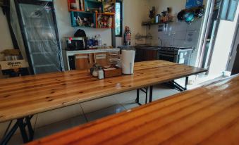 Rey Lagarto Hostel