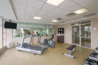 Wyndham Garden Niagara Falls Fallsview - gimnasio