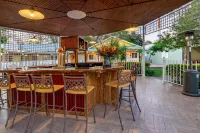 Little Pilgrims Boutique Hotel - bar