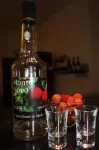 Vicentina Hotel - Bar