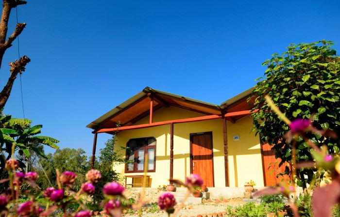 Nature Safari Resort