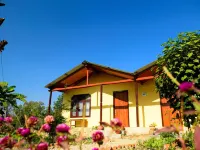 Nature Safari Resort Hotels in Bardia