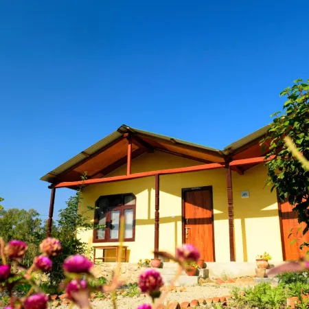 Nature Safari Resort