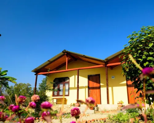 Nature Safari Resort Hotels in Bardia