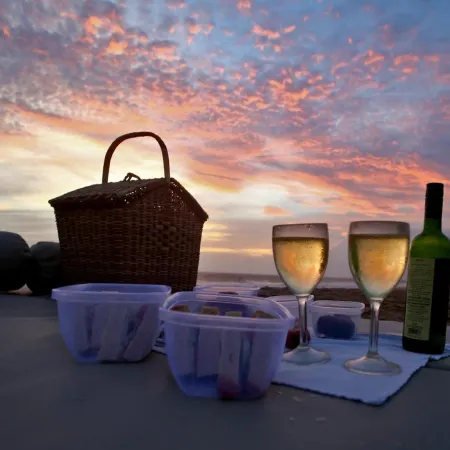 Niraamaya Wellness Retreats, Surya Samudra, Kovalam