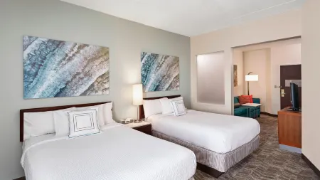SpringHill Suites Chicago Schaumburg/Woodfield Mall Отели в г. Шаумбург