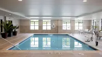Staybridge Suites Auburn Hills Hotels in Pontiac