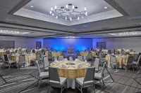 Sheraton Tucson Hotel & Suites Hotels in Tucson