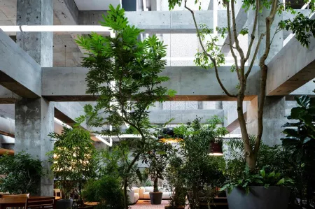 Shiroiya Hotel Отели в г. Маэбаси