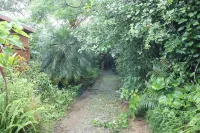 やんばるの森 世界自然遺産の森を巡る やんばる電気バス 乗車場所周辺のホテル