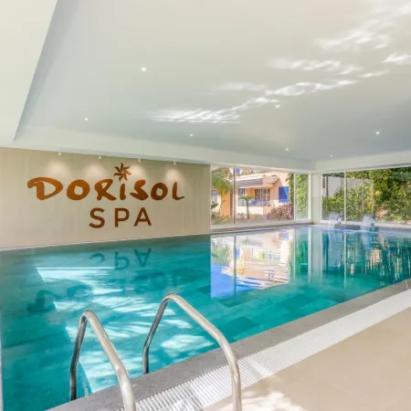 Dorisol Mimosa Studio Hotel
