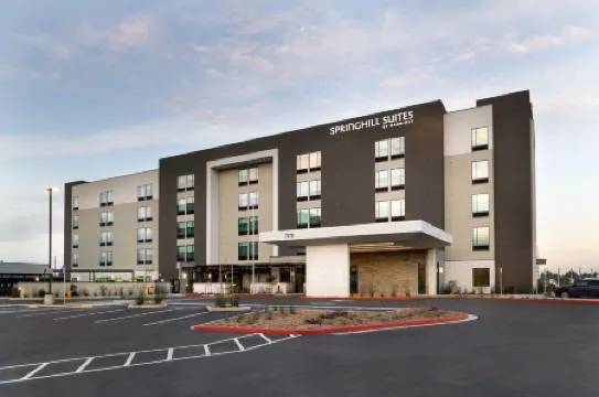 SpringHill Suites Pleasanton