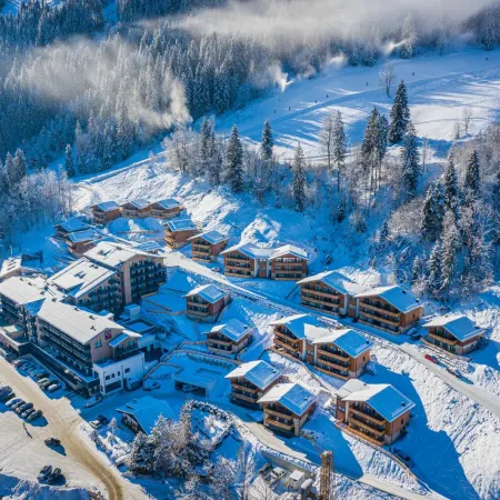Apartment Dorf Wagrain Alpenleben by AlpenTravel