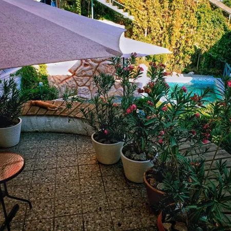 Sapar Standart Hotel улучшенный Стандарт