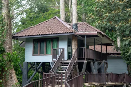 Rock and Tree House Resort