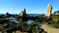 海岸舒適旅館 - 露台