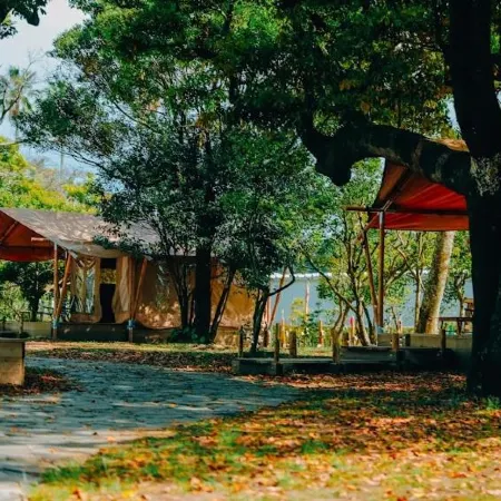 Aoshima Picnic Club