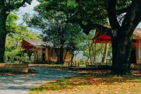 Aoshima Picnic Club - Beach
