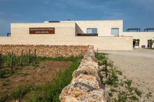 Gianfranco Fino Viticoltore Hotel a Provincia di Taranto