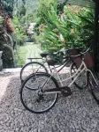 Baan Hinlad Home and Hostel Hotels in Koh Samui