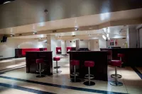 帕拉西奧德洛斯維拉達酒店 - 酒吧