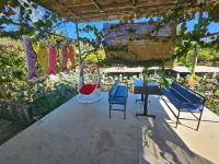 Homestay Sen & Zen Villa Vung Tau