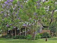 The Laurels of Chinchilla Hotels in 