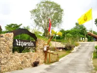 萊普發波度假村 願拼住宿飯店