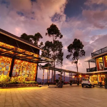 Chandys Drizzle Drops - Munnar Top Station
