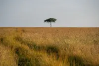 Kinara, a Luxury Collection Safari Camp, Masai Mara - salle de sport