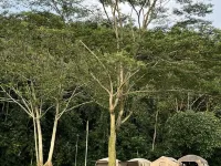 Batoo Farm Adventure - Ground Of Adventure Hotel di Ciseeng