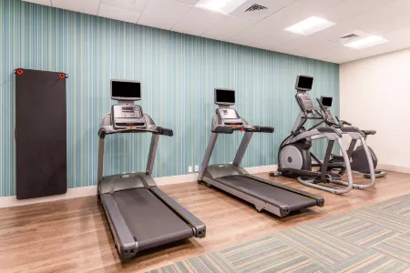 Holiday Inn Express & Suites Ottawa Отели в г. Нейплейт