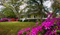 Magnolia Springs Bed and Breakfast Hotels in 