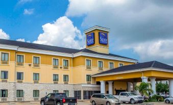 Sleep Inn & Suites Pearland - Houston South