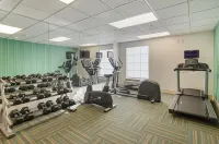 Holiday Inn Express LEXINGTON by IHG - Gym