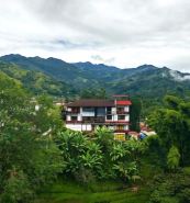 คอฟฟี่ ทรี บูทีค โฮสเทล