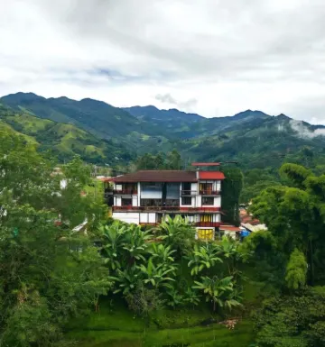 Coffee Tree Boutique Hostel Hotel a 