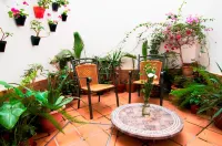 Un Patio Al Sur