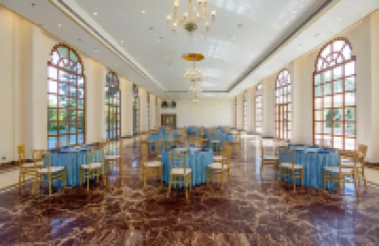 斯特林阿拉瓦利烏代布爾