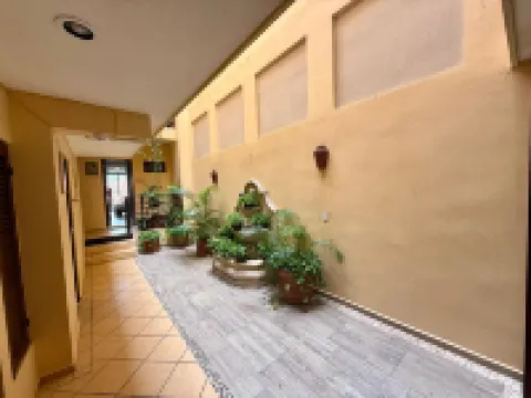 มูลุก ปลายา โรงแรมในปลายาเดลการ์เมน