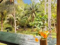 Rose Apartments - วิว