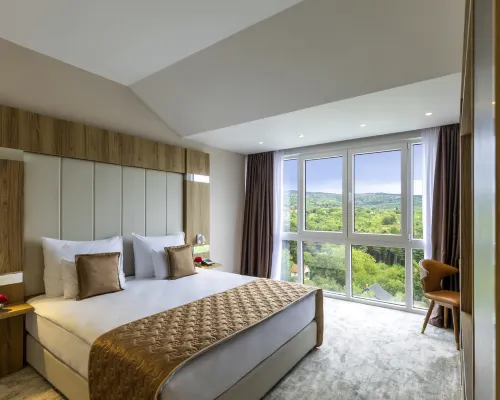 Movenpick Resort and Spa Fruske Terme Photos