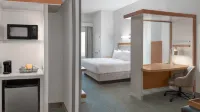 SpringHill Suites Detroit Auburn Hills